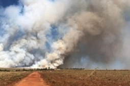 8º BBM firma parcerias com Siamig e Senar-Minas que apoiarão ações de prevenção aos incêndios florestais na região