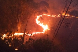 Grandes incêndios florestais em Minas promovem ações integradas do CBMMG