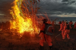 4º COB realiza o 1º treinamento de manejo integrado do fogo