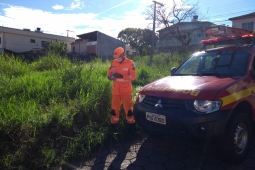 Alerta Verde! CBMMG lança campanha de prevenção de incêndios em lotes vagos