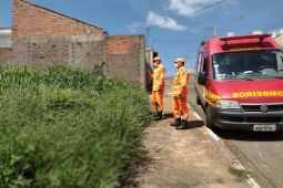 Período chuvoso nem acabou, mas incêndios em lotes vagos já começaram