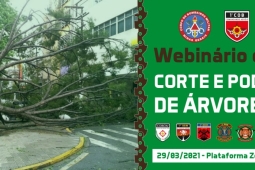 Webinário de corte de árvores - período chuvoso e melhores práticas