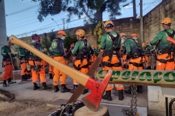 ABM forma 32 especialistas em operações em árvores