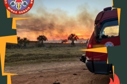 5º COB realiza webinário de gestão do risco de desastres no período de estiagem