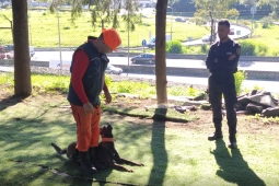 Militar do CBMMG finaliza curso de busca em Portugal com sua companheira Hera