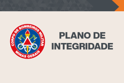 CBMMG cria boletim para acesso de informações ao público interno