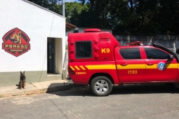 Cães bombeiros ajudam a solucionar mais um caso de pessoa desaparecida