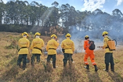 9º BBM realiza formação de Brigada Florestal