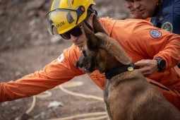 CBMMG sedia evento de Certificação Nacional de Cães de Busca e Resgate
