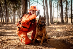 Heróis de quatro patas: A potência e eficiência dos cães na busca por desaparecidos