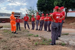 Semana Nacional do Meio Ambiente do 10ºBBM: Ações para fortalecer a consciência ambiental